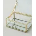 Organizuese