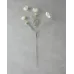 Lule Artificiale  – E Bardhë